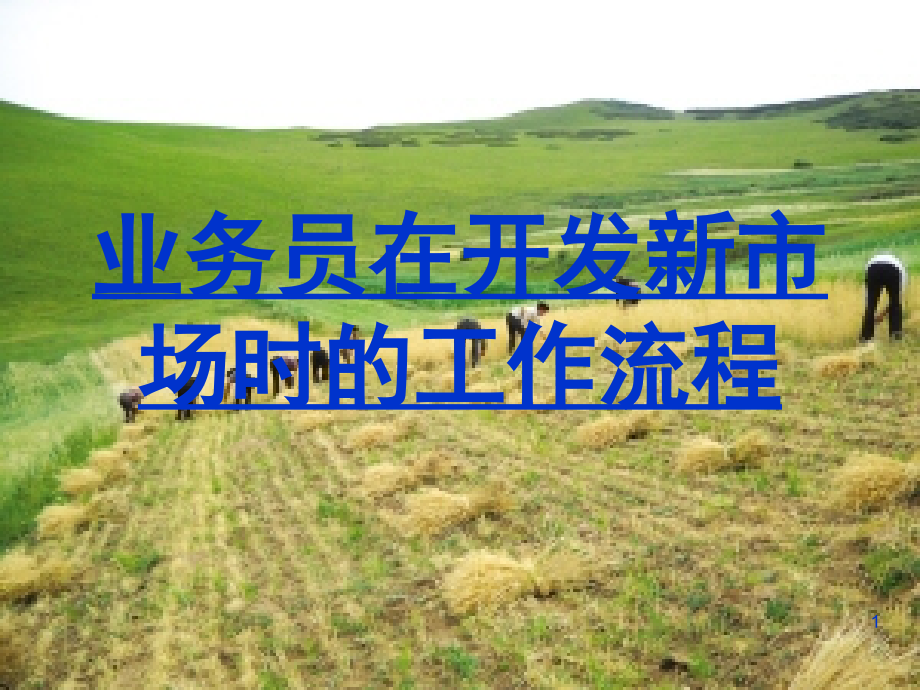 农资业务员的工作流程课件.ppt_第1页