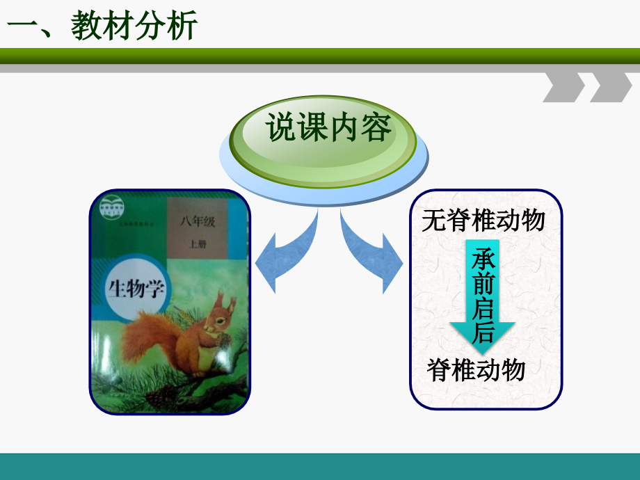 初中生物说课比赛-鱼.ppt_第3页