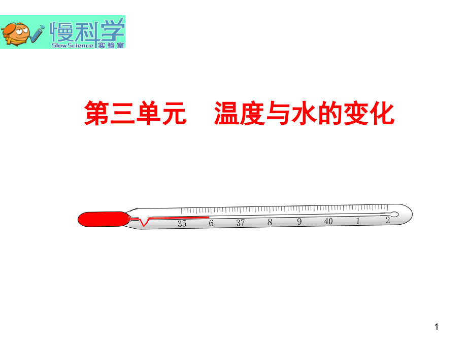 三年级下册科学第三单元复习(课堂PPT).ppt_第1页