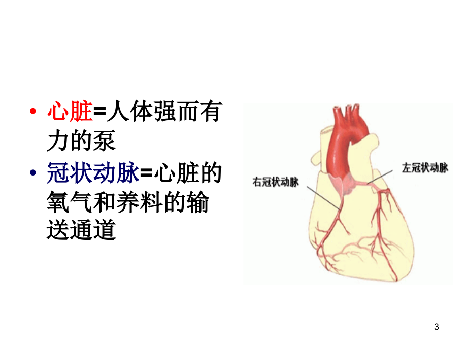 冠心病健康教育(课堂PPT).ppt_第3页