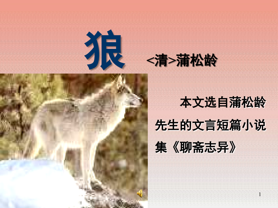 七年级语文狼.ppt_第1页