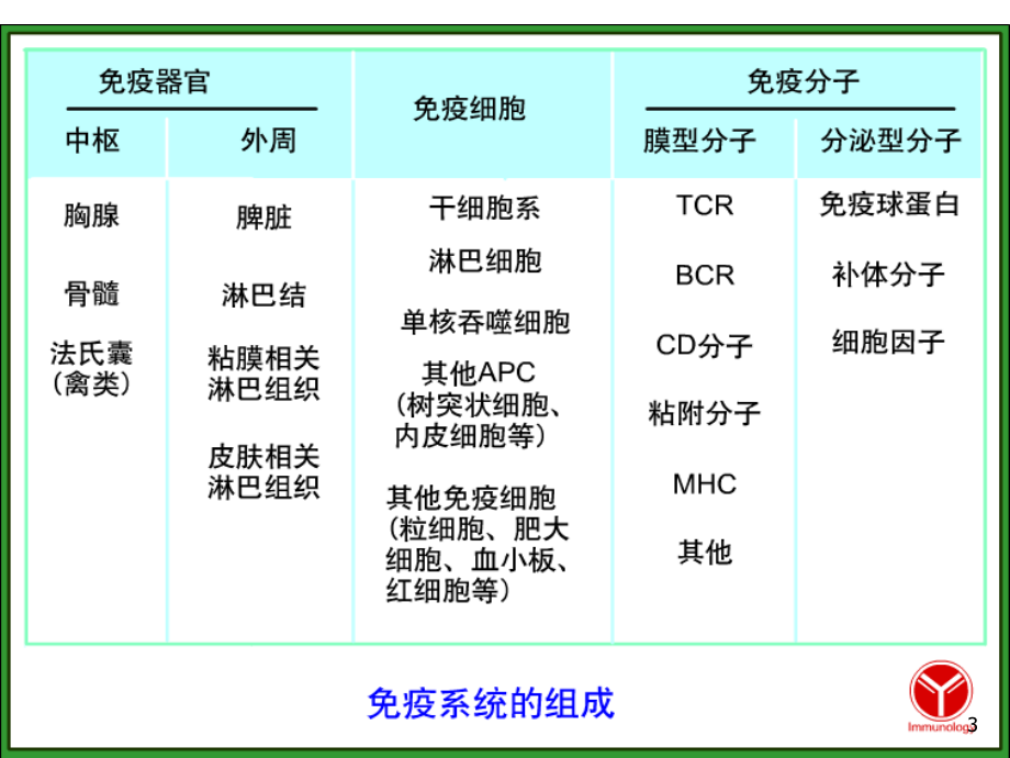 免疫组织和器官.ppt_第3页