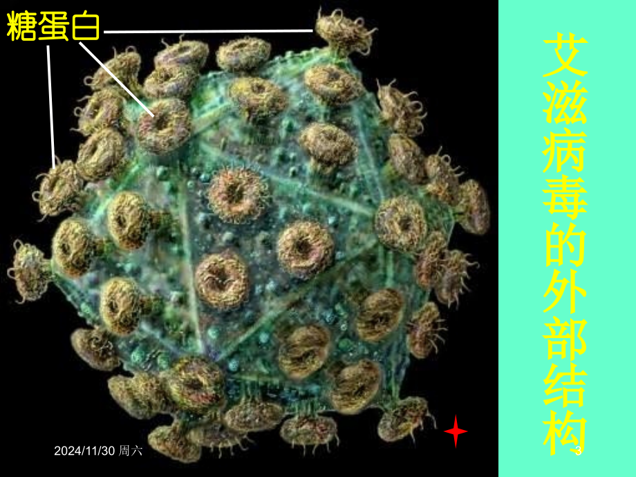 在校学生艾滋病防治知识讲座课件PPT幻灯片.ppt_第3页