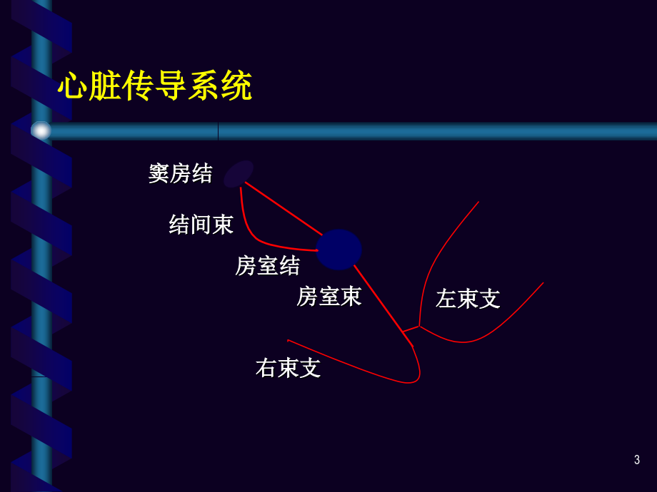 室早及室速的体表心电图定位.ppt_第3页