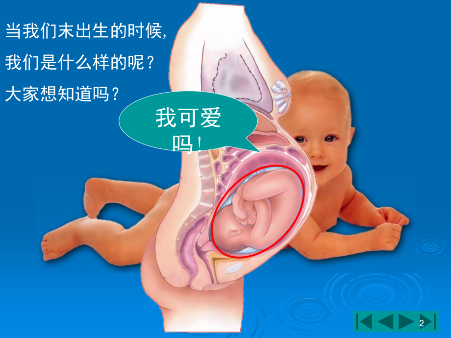 中晚期妊娠诊断(课堂PPT).ppt_第2页