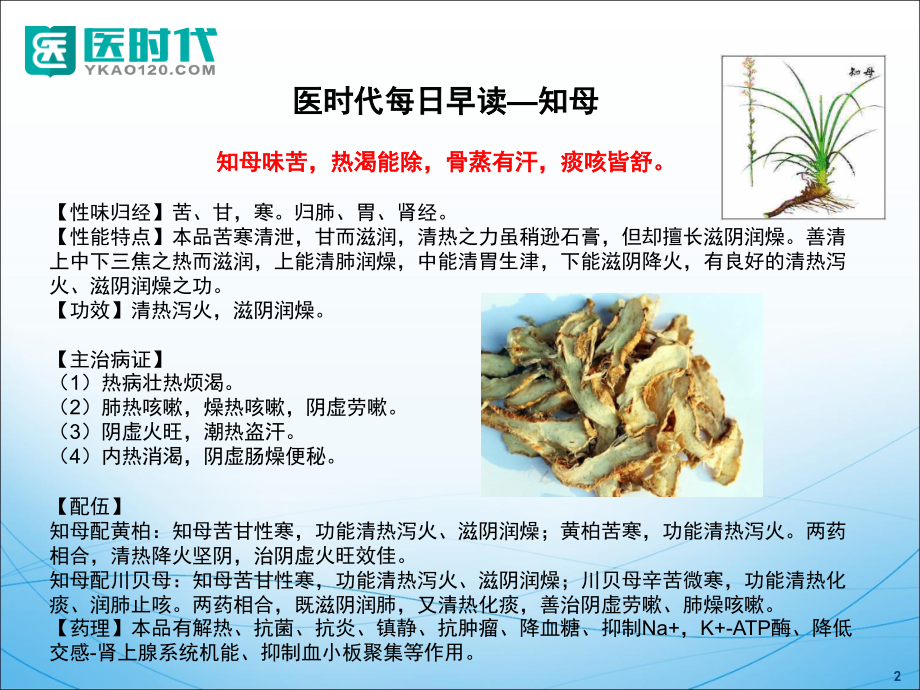 中药药材知识点课件.ppt_第2页