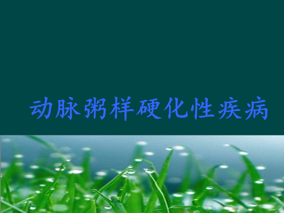 冠心病(课堂PPT).ppt_第3页