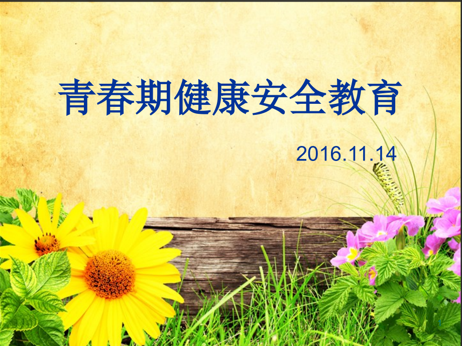 七年级青春期健康安全教育PPT幻灯片课件.ppt_第1页