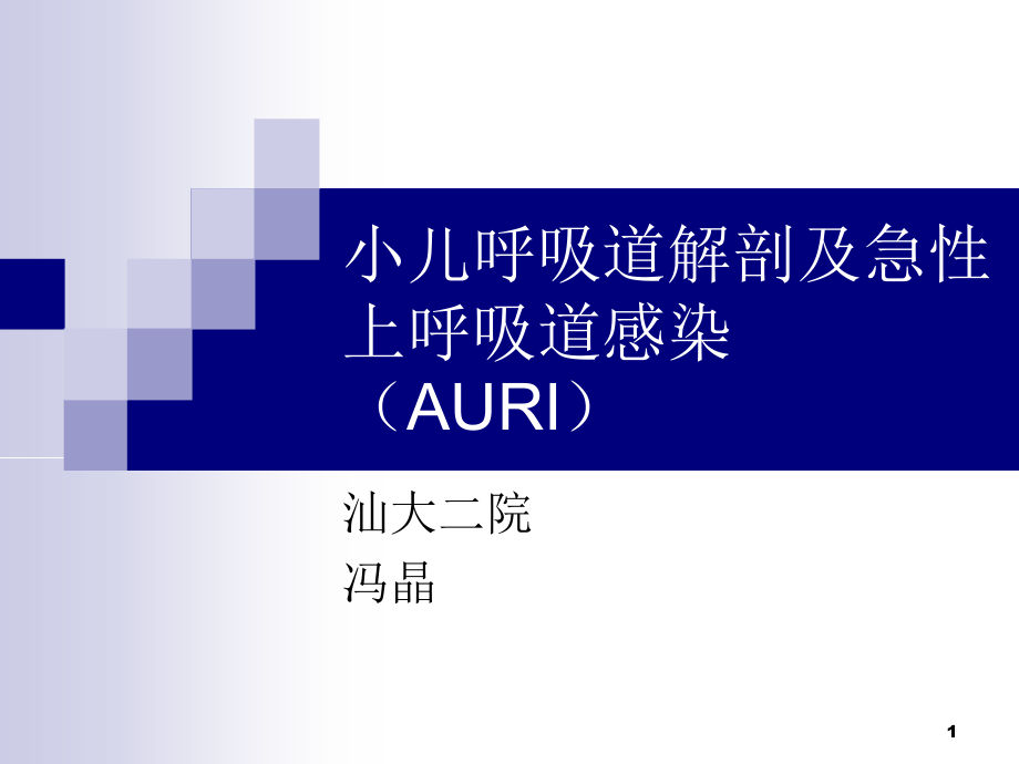 小儿呼吸道解剖及急性上呼吸道感染(AURI)幻灯片.ppt_第1页