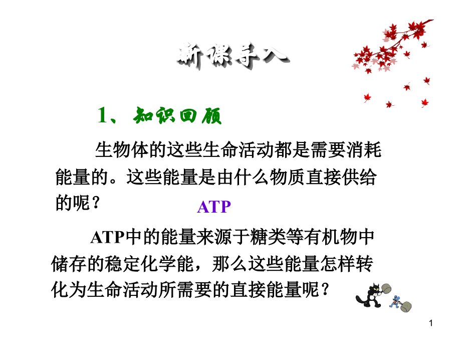 ATP的主要来源——细胞呼吸.ppt_第1页