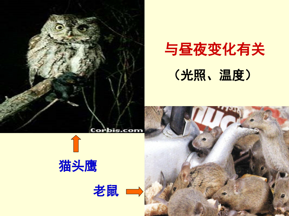 八年级科学第三章复习(课堂PPT).ppt_第3页