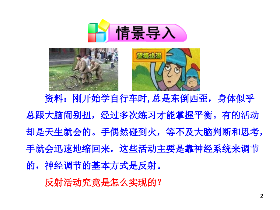 神经调节的基本方式PPT.ppt_第2页