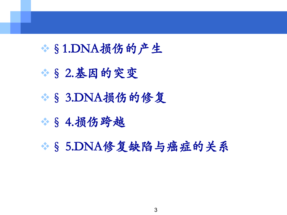 DNA的损伤与修复PPT参考课件.ppt_第3页