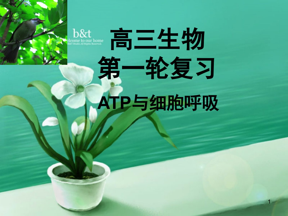 ATP与细胞呼吸一轮复习(课堂PPT).ppt_第1页