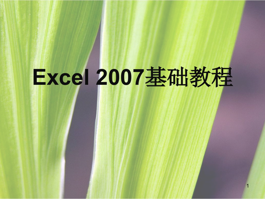 Excel2007基础教程(培训专用)PPT学习课件.ppt_第1页