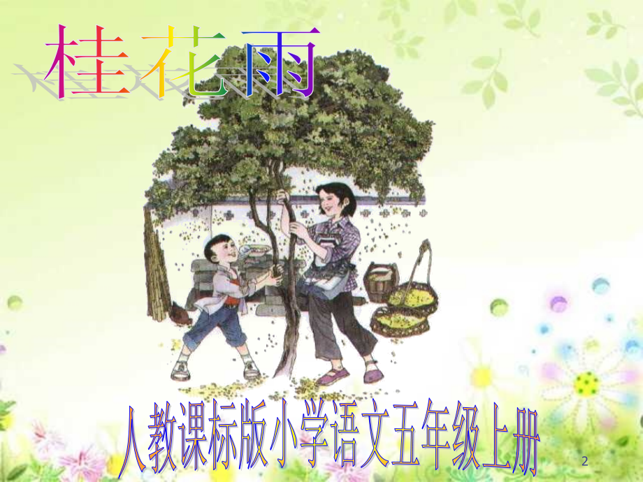 公开课桂花雨(课堂PPT).ppt_第2页