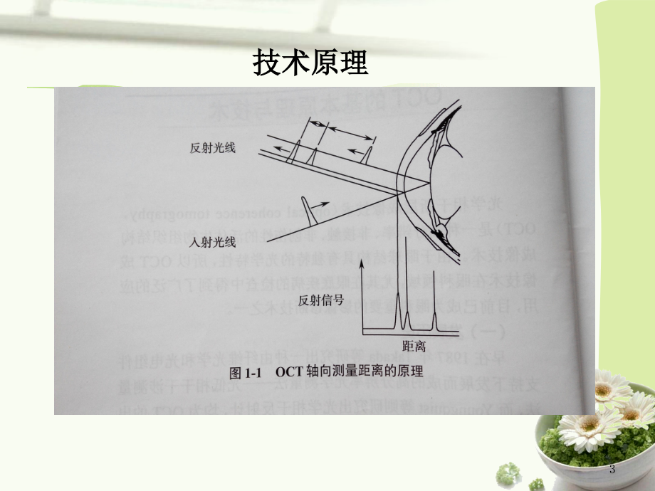 OCT基础知识课件.ppt_第3页