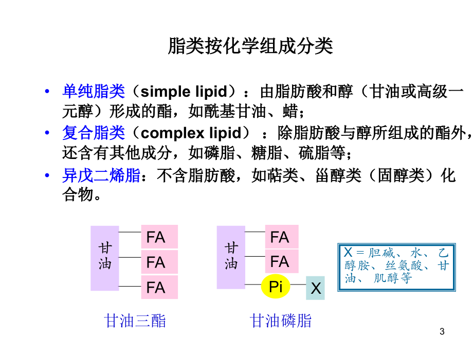 第九章脂类代谢的合成与分解.ppt_第3页