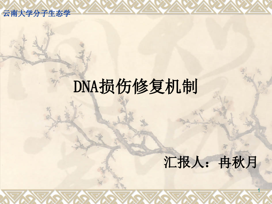 DNA的损伤修复机制课件.ppt_第1页