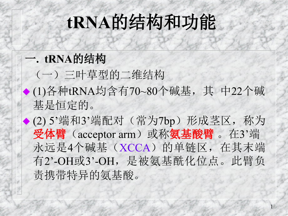 tRNA的结构和功能(课堂PPT).ppt_第1页