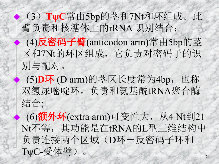 tRNA的结构和功能(课堂PPT).ppt_第2页