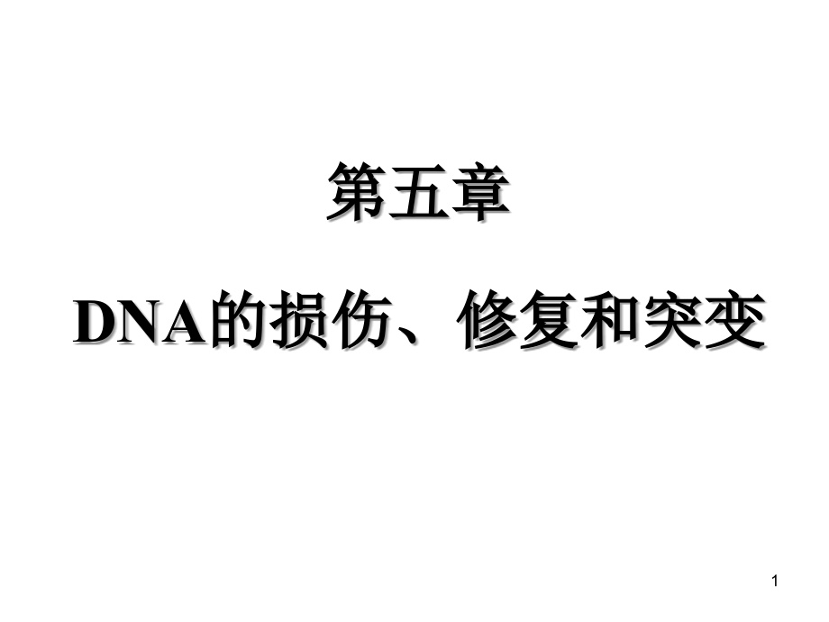 DNA的损伤修复及突变课件.ppt_第1页