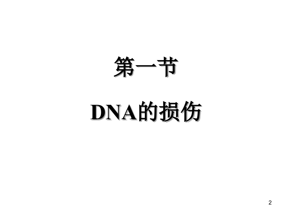 DNA的损伤修复及突变课件.ppt_第2页