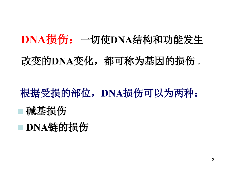 DNA的损伤修复及突变课件.ppt_第3页