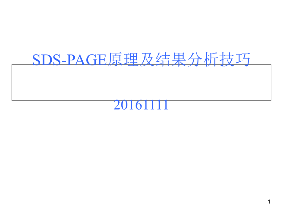 SDS-PAGE原理及结果分析技巧.ppt_第1页