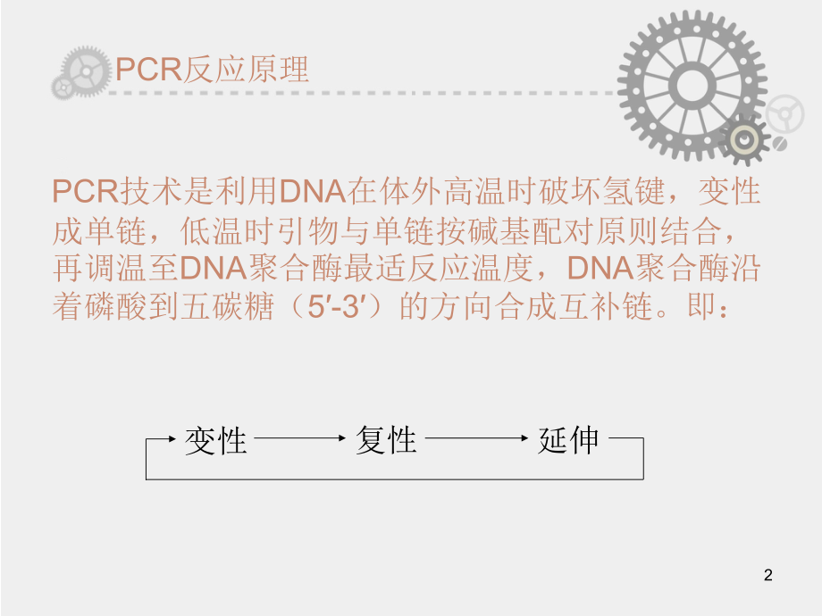 PCR技术及测序.ppt_第2页