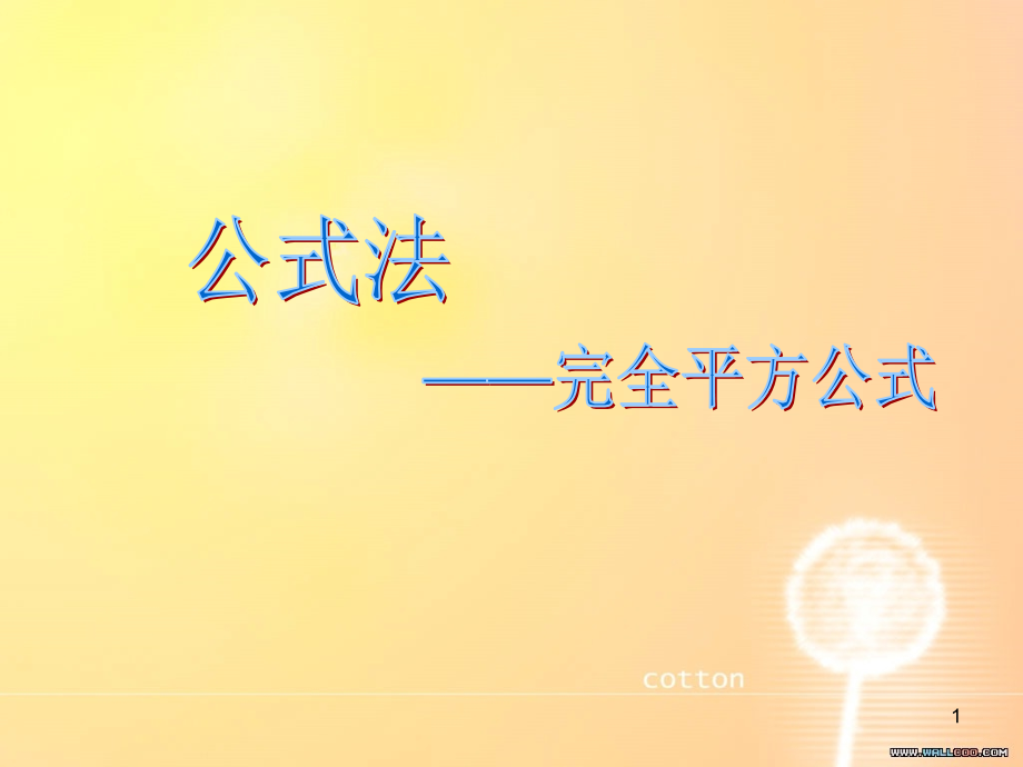 公式法(课堂PPT).ppt_第1页