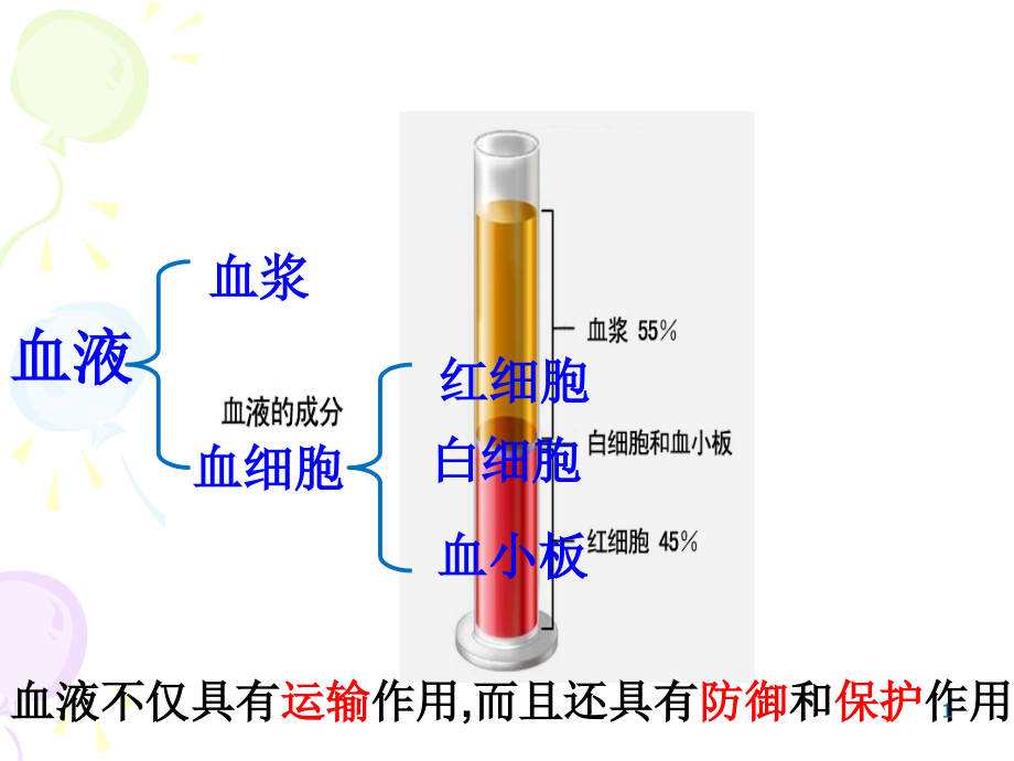 第二节--血液的管道-血管.ppt_第1页