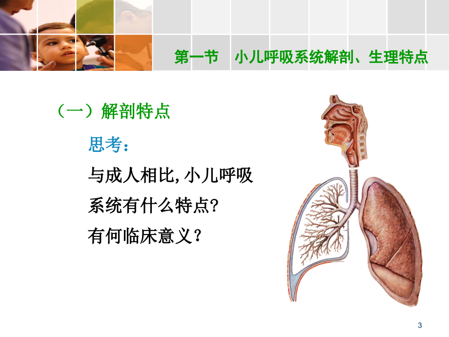 第十章--呼吸系统疾病患儿的护理PPT参考课件.ppt_第3页