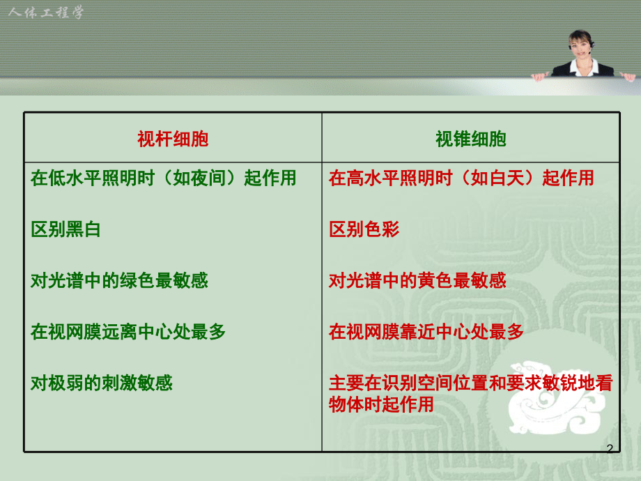 人体工程学与视觉传达设计PPT文档.ppt_第3页