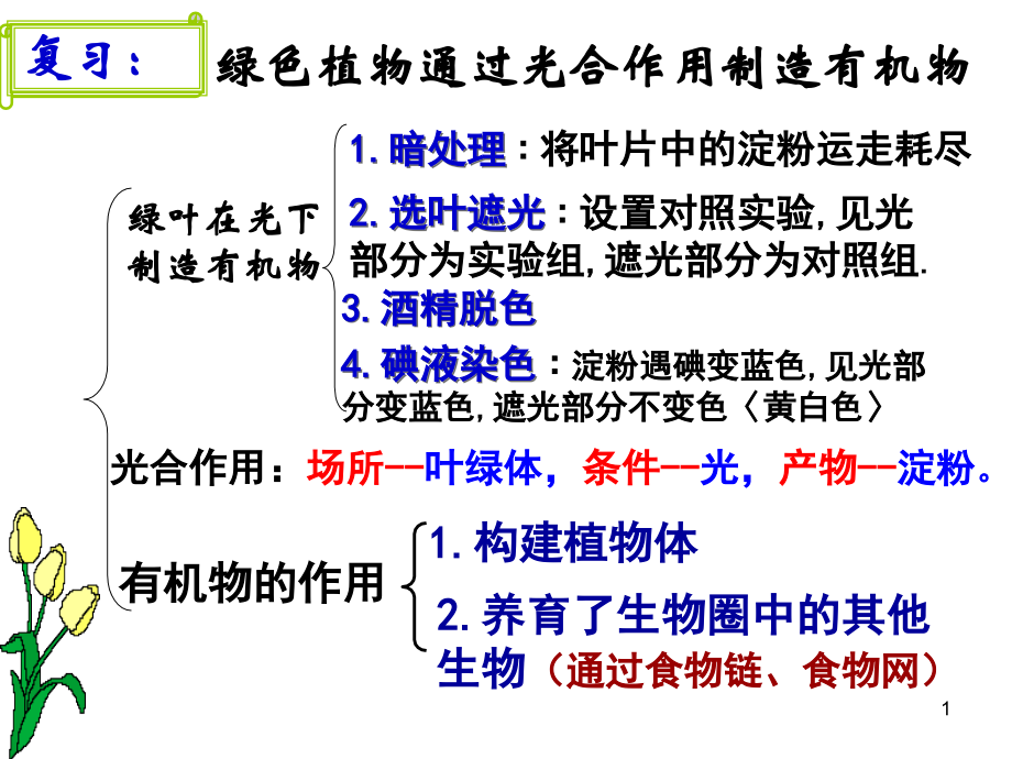 光合作用吸收二氧化碳释放氧气课件PPT.ppt_第1页