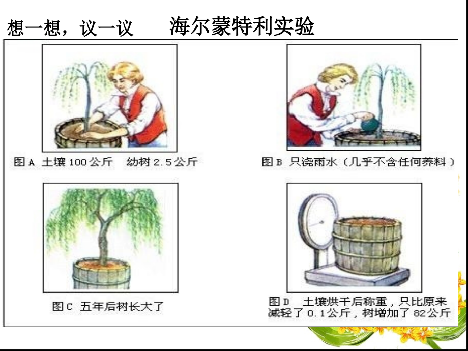 光合作用吸收二氧化碳释放氧气课件PPT.ppt_第3页