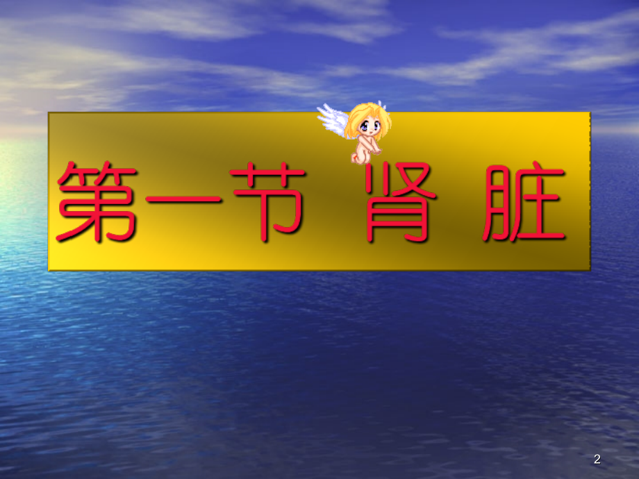 超声诊断学-肾脏解剖、肾积水、肾囊肿.ppt_第2页