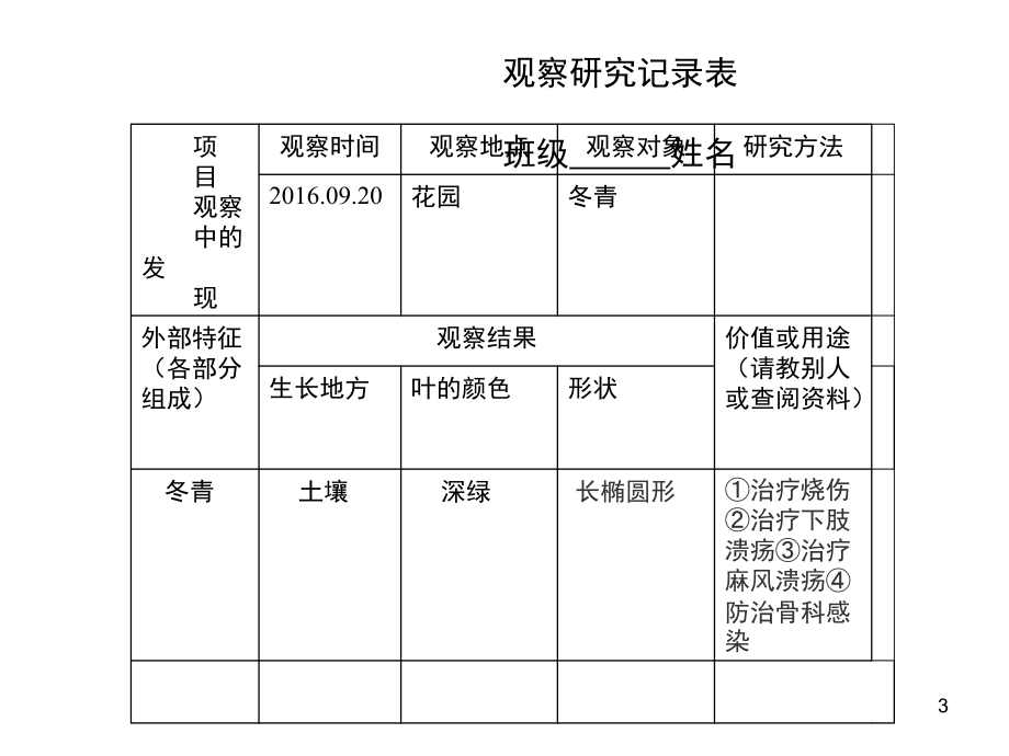 冀教版小学科学六年级上册《小草和大树》(课堂PPT).ppt_第3页