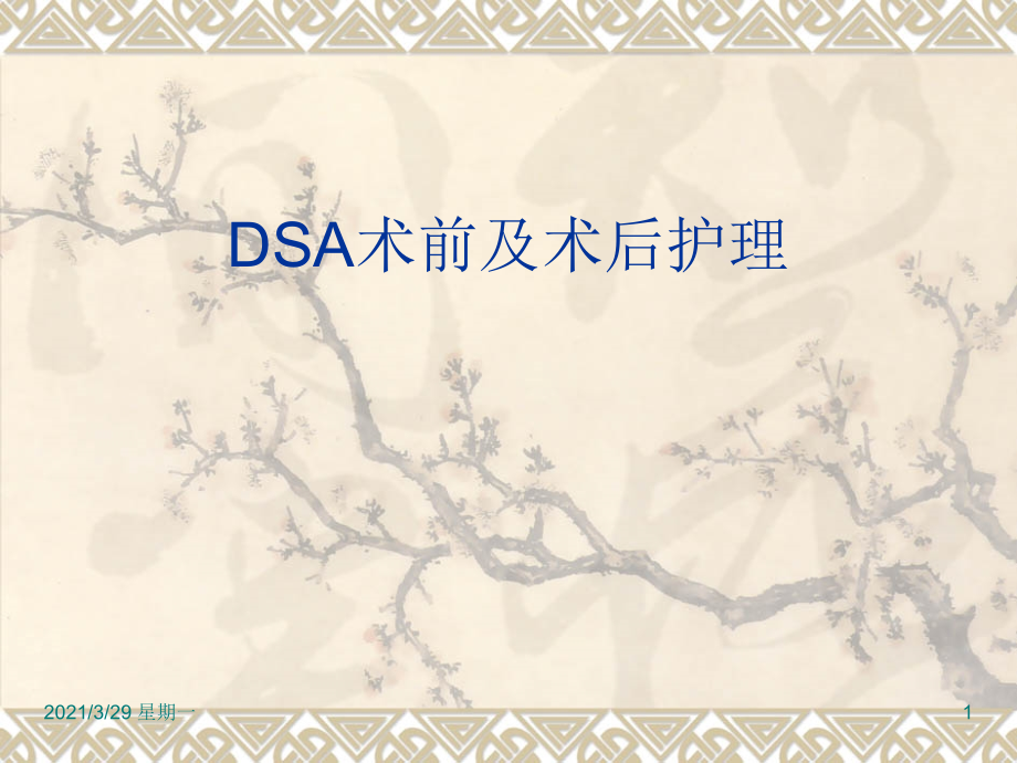 DSA术前及术后护理13981.ppt_第1页