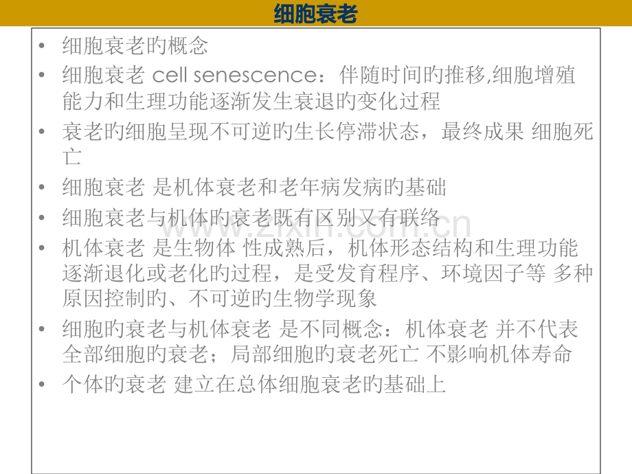 医学细胞生物学细胞衰老和细胞死亡优质课件.pptx_第3页