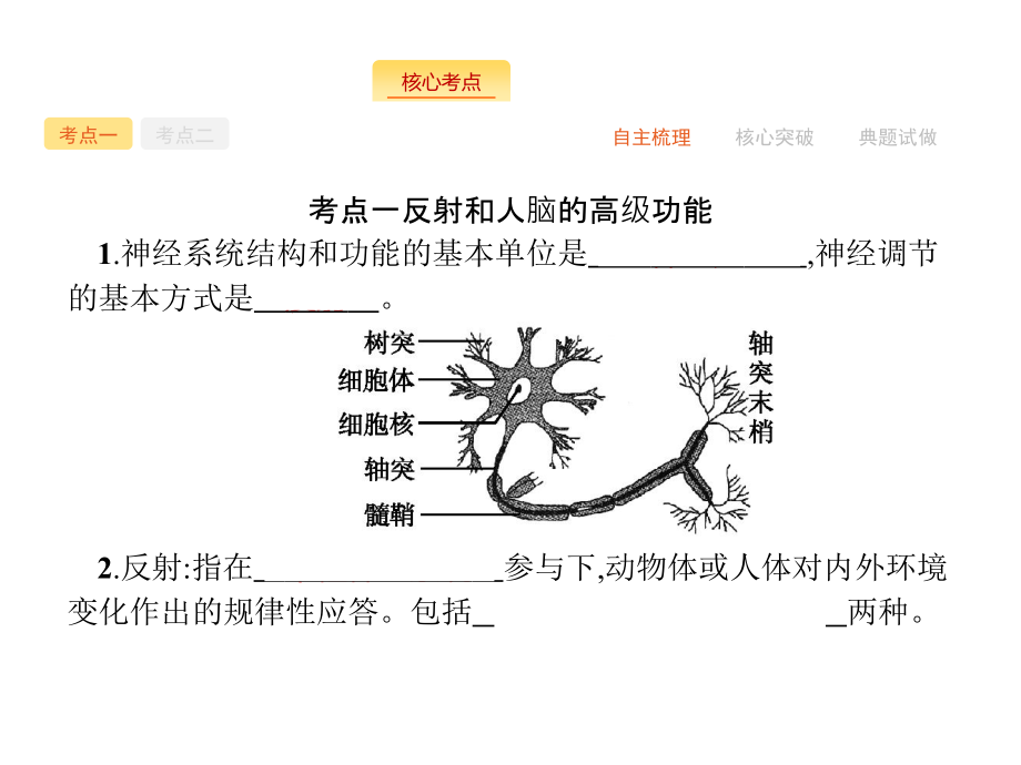 高三生物苏教版一轮复习课件102神经调节.pptx_第2页