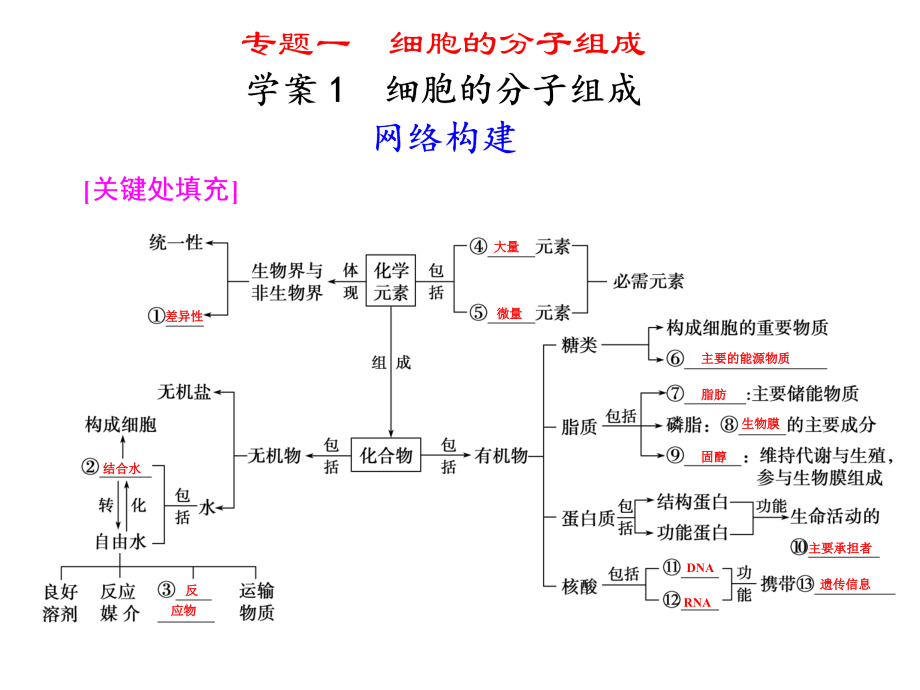 高三生物二轮复习专题一学案1细胞的分子组成.pptx_第1页