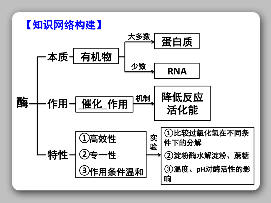 酶的本质和作用高三一轮复习.pptx_第3页