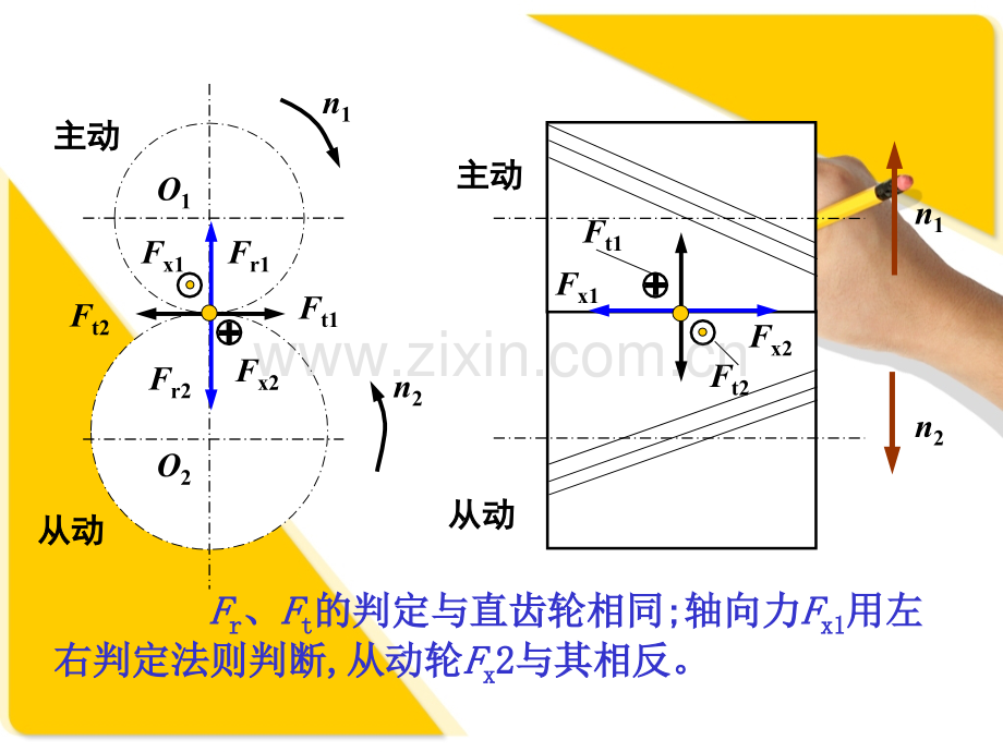 齿轮传动受力分析补.pptx_第3页