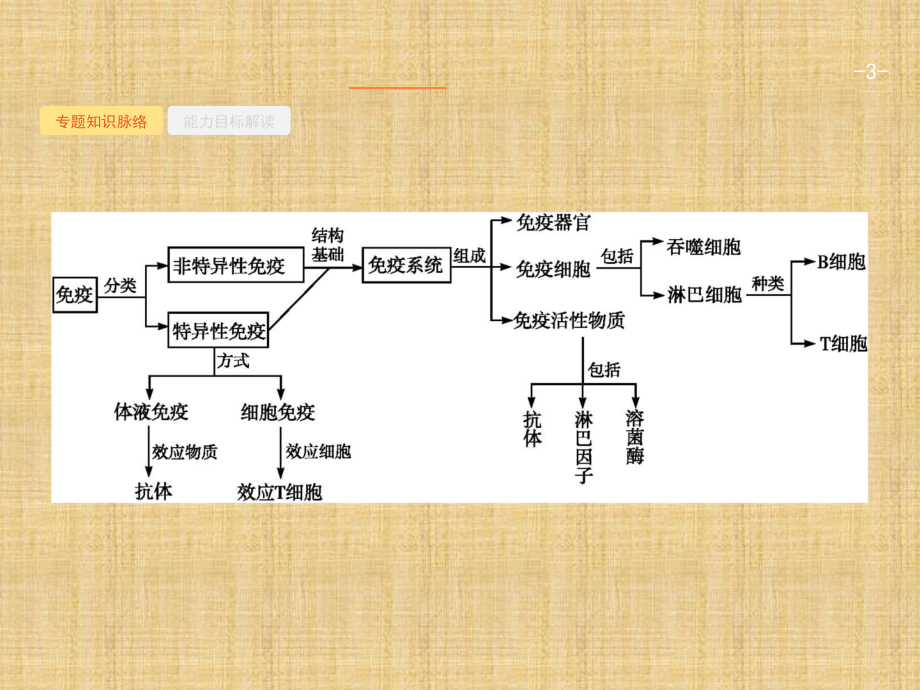 高三生物二轮总复习专题能力训练卷人体的稳态和免疫.pptx_第3页