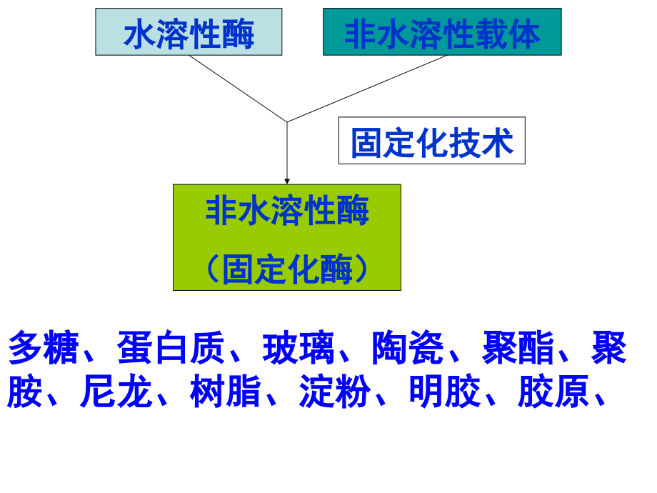 高三生物选修一淀粉酶固定化.pptx_第3页