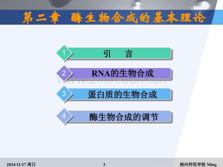 酶生物合成的基本理论.pptx_第3页