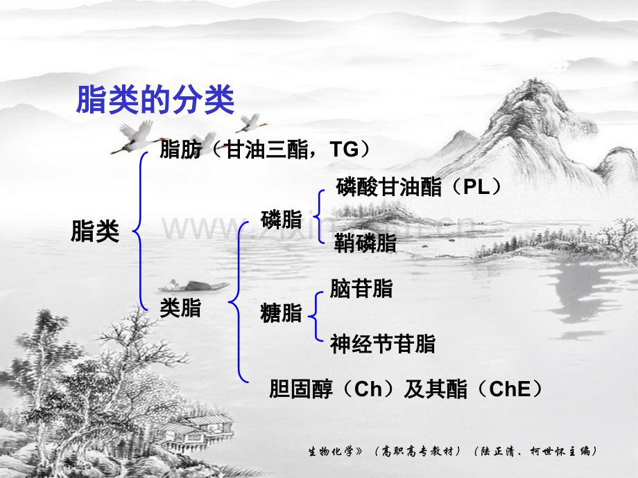 第9章-脂类代谢.ppt_第2页