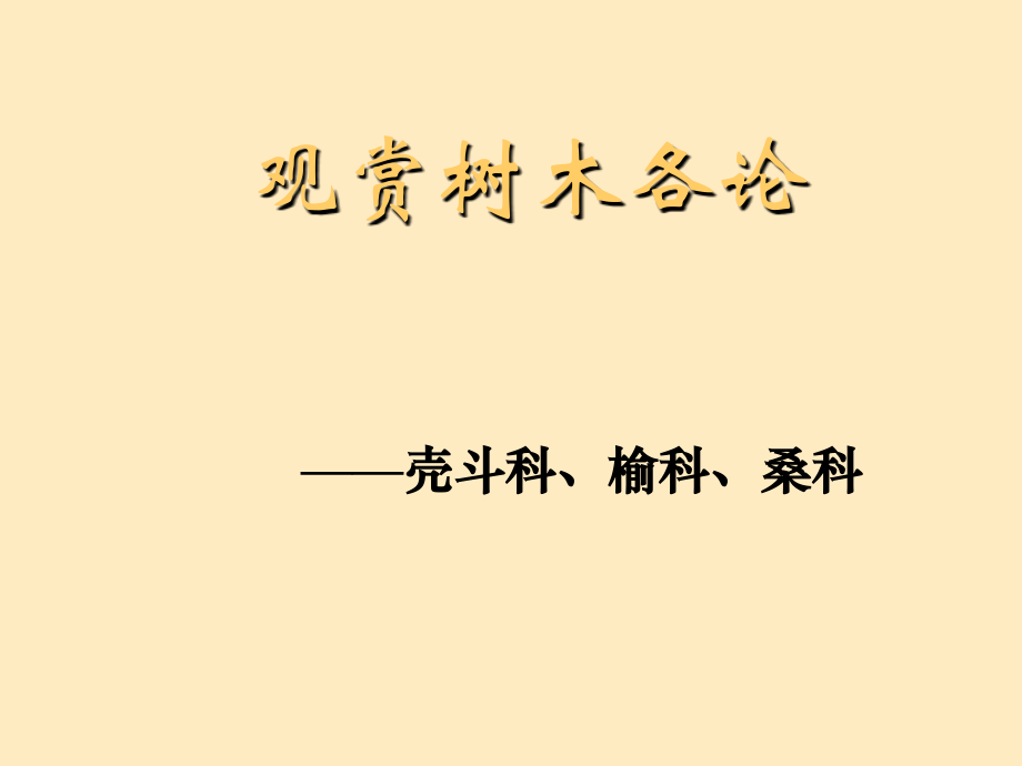 观赏树木各论(壳斗科、榆科、桑科)教学教程.ppt_第1页