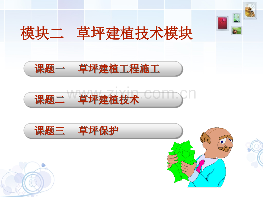 草坪建植与管理技术模块二.ppt_第2页